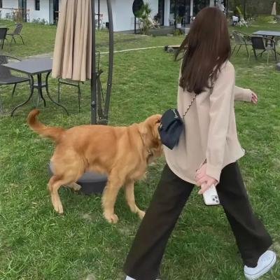 人间大炮2